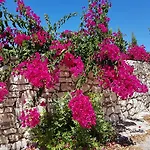 Alexia Ferentinou Apartman *