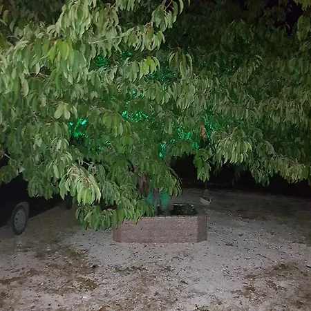 Alexia Ferentinou Apartament *