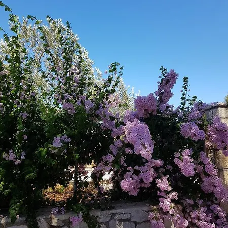 Alexia Ferentinou * Fiskardo