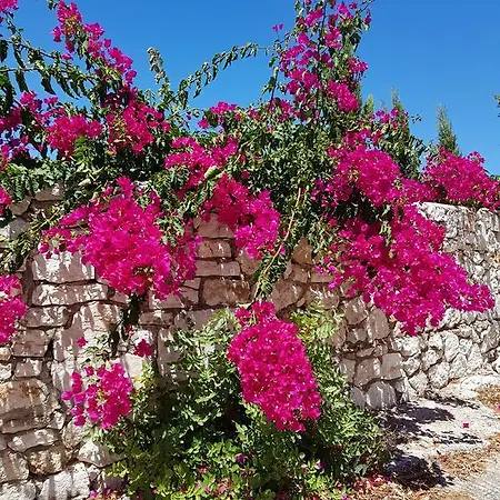 Alexia Ferentinou Appartement *